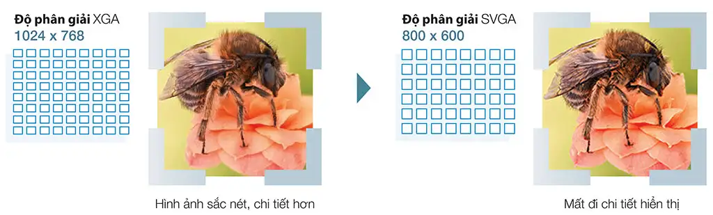 56432_2kjown Máy chiếu Epson EB-E01 - XGA