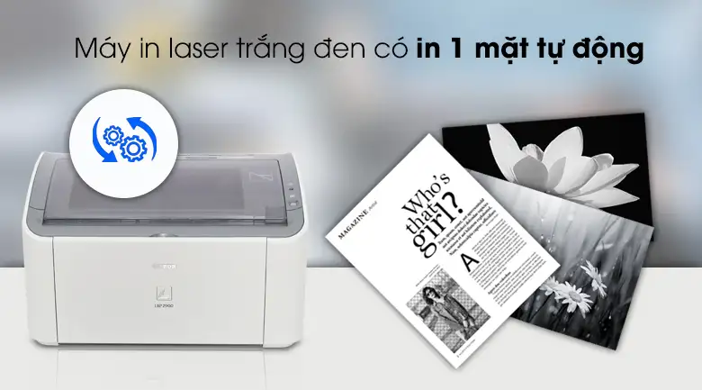 may in laser canon lbp2900 10csedt