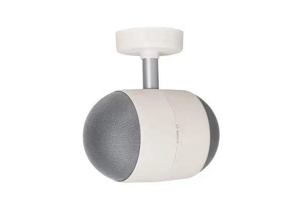 Loa 2 hướng dạng ống Bosch LP1-BC10E-1