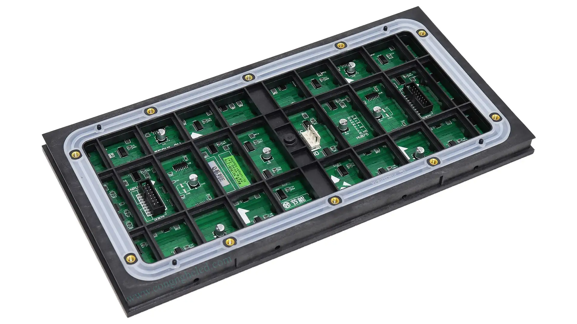 MODULE Q5 NGOÀI TRỜI