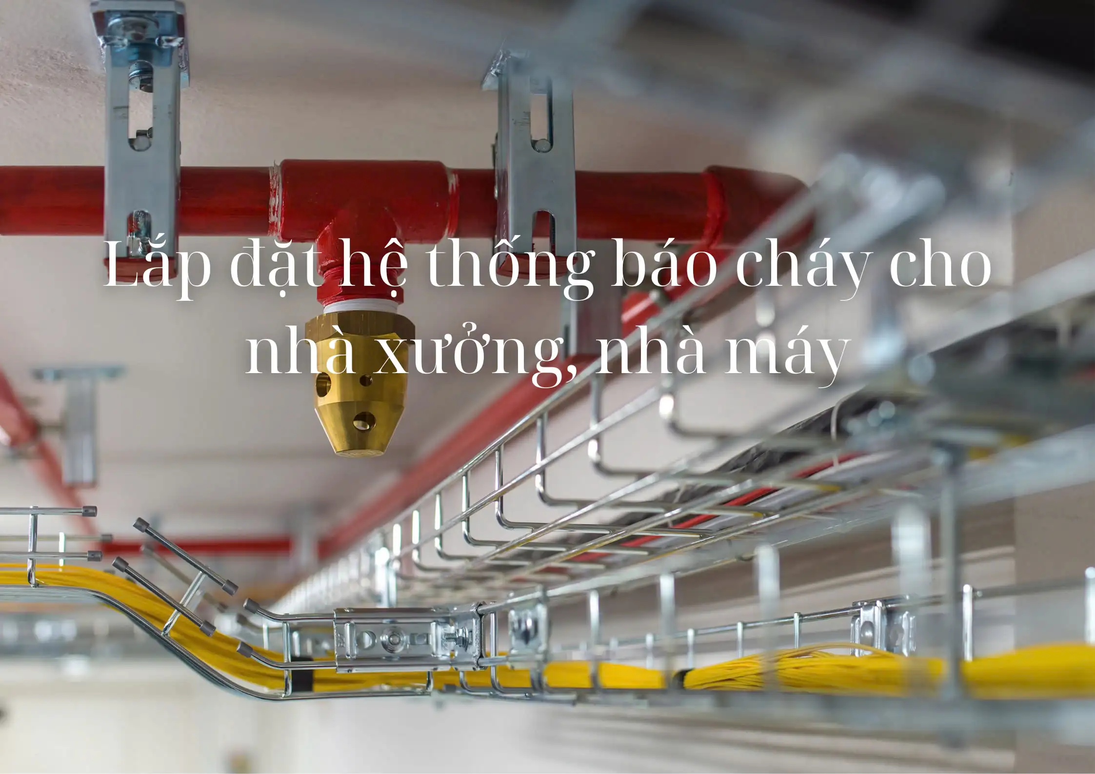 Hệ Thống Báo Cháy Tích Hợp Trong Điện Nhẹ 5 He thong bao chay tich hop duoc lap dat trong nha xuong san