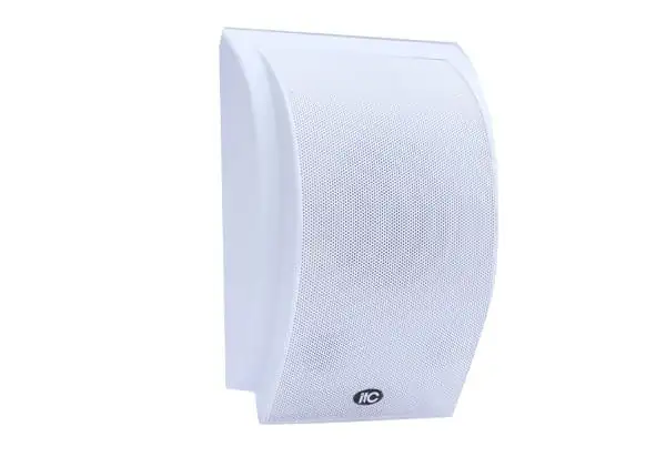 Loa treo tường ITC